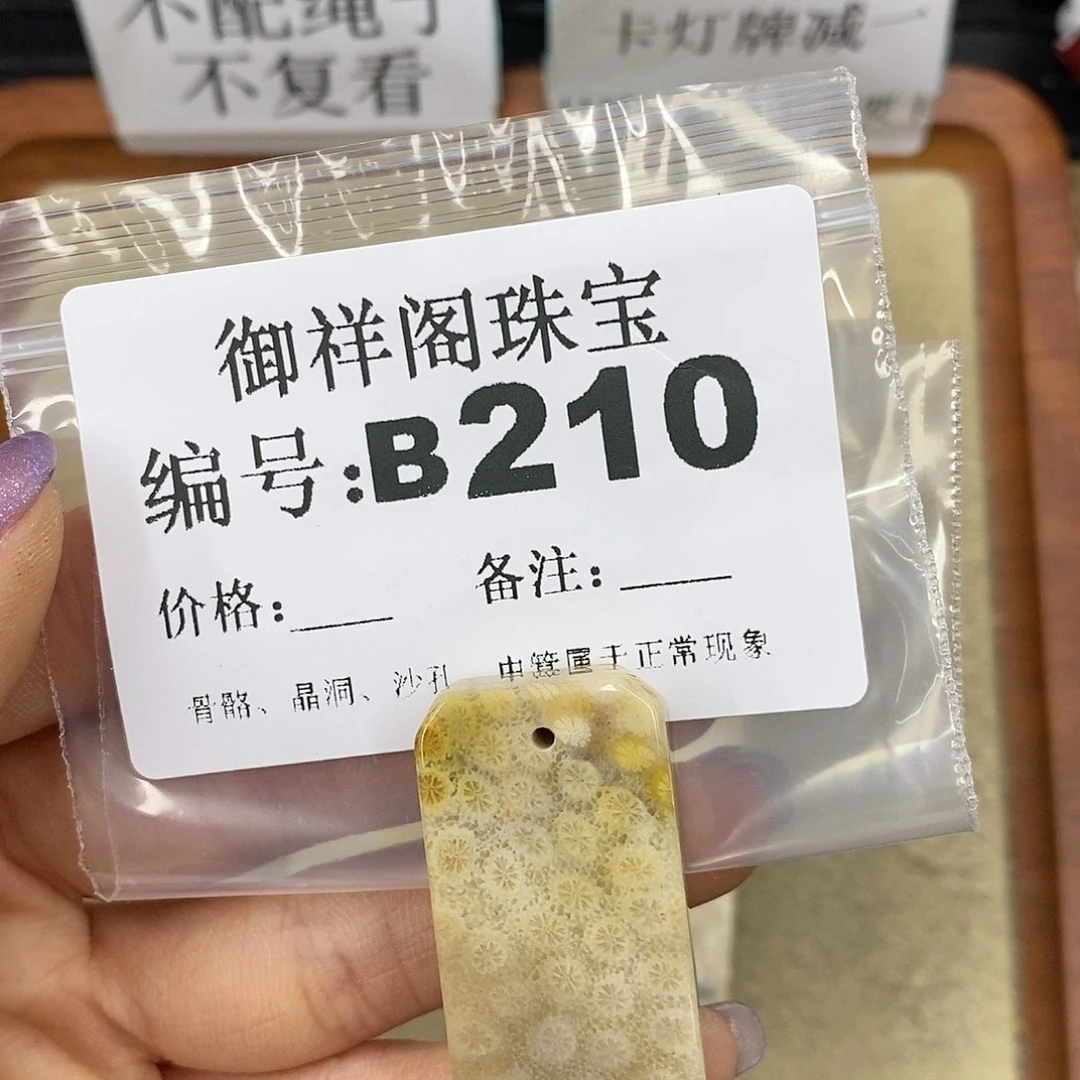 石英质玉未镶嵌颈饰蘑**点