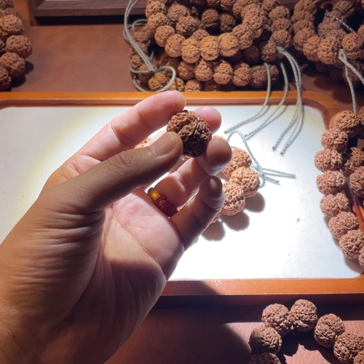 金刚菩提手串辣***鲨补发备籽
