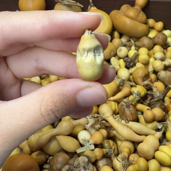 葫芦葫芦葫芦不包邮
