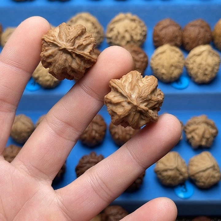 把件文玩核桃粗筋八龙柱