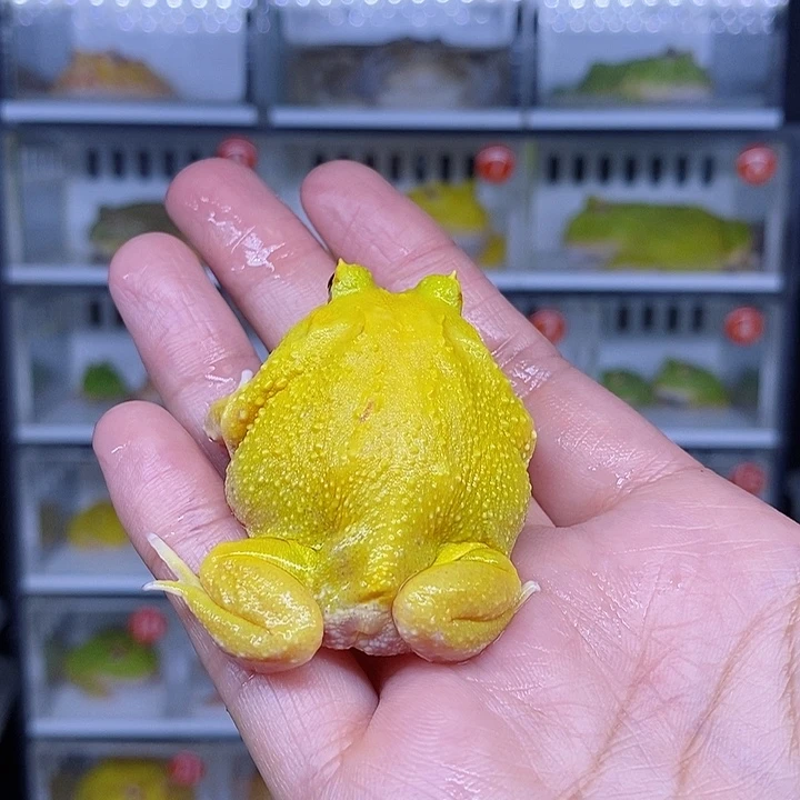 特价秒杀现货特价