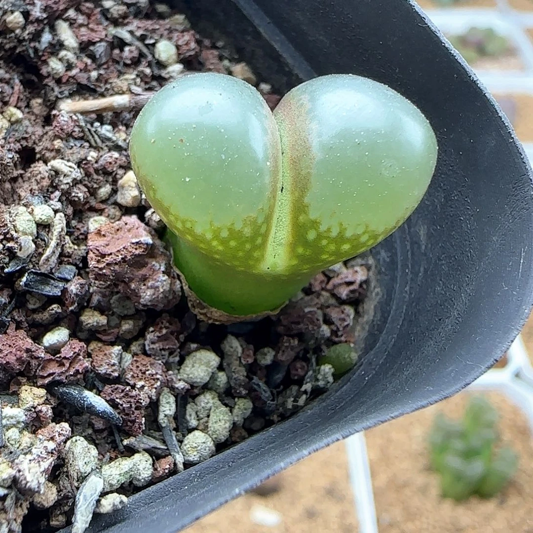 向***看哈哈哈哈哈哈哈哈46828