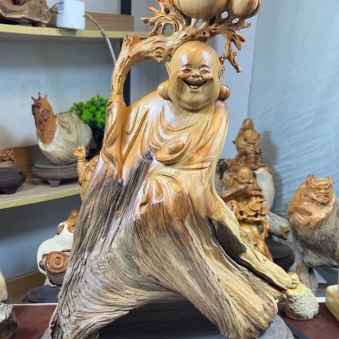 柏木（崖柏）v h h h h j j j j