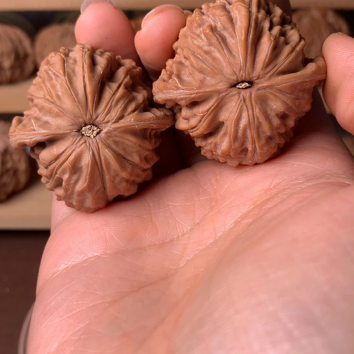 锦***生大叶紫檀（黑酸枝木类）磨盘6