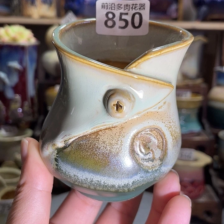 狼盆内口径6高度7