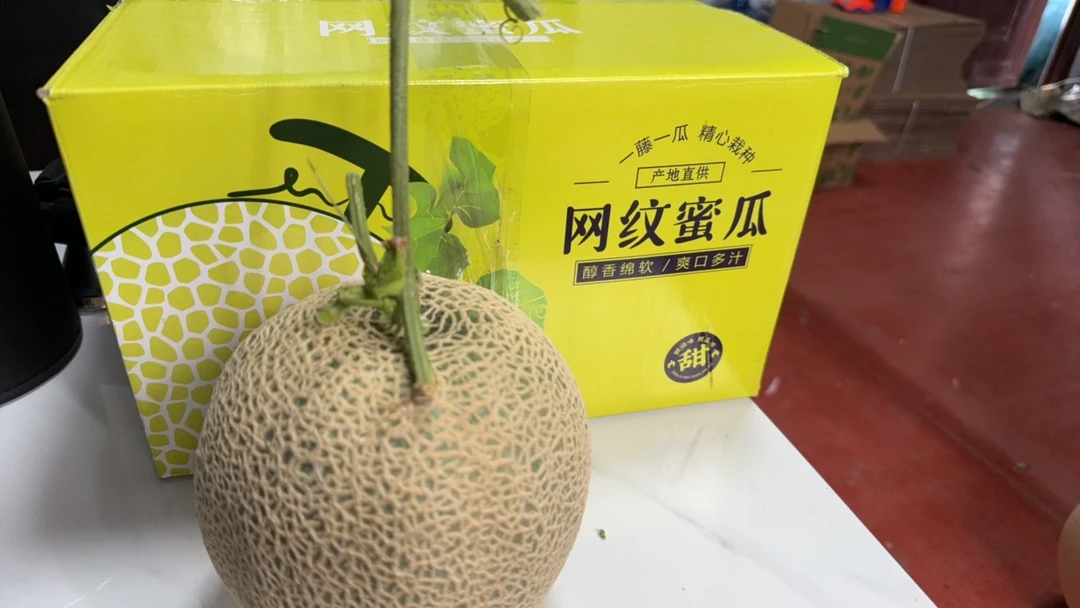 山东网纹蜜瓜冰淇淋口感香甜软糯当季新鲜水果