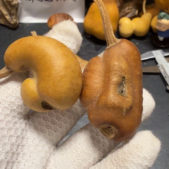 L***强7766677667778888888888