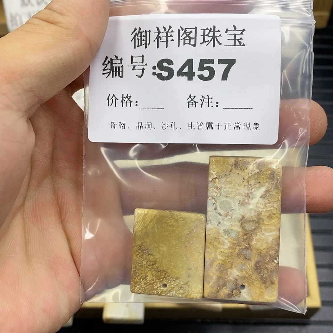 硅化珊瑚（珊瑚玉）未镶嵌颈饰顾*