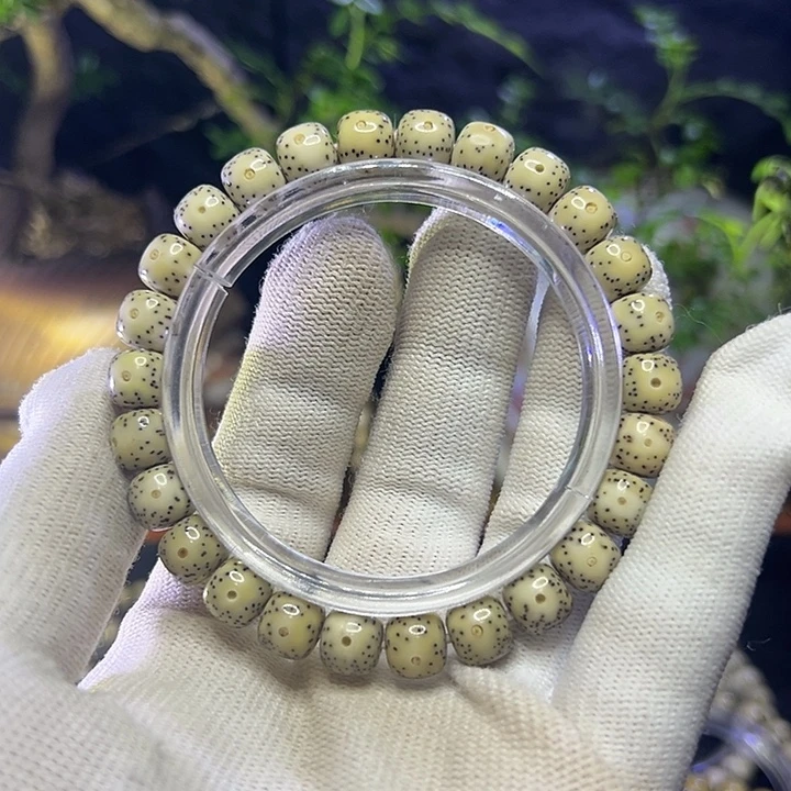 星月菩提手串海南原生态