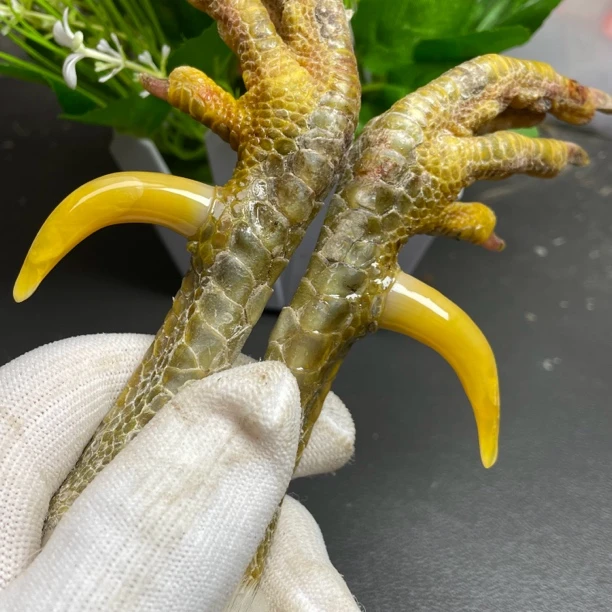 鑫源骨艺手把件黄弯钩一对