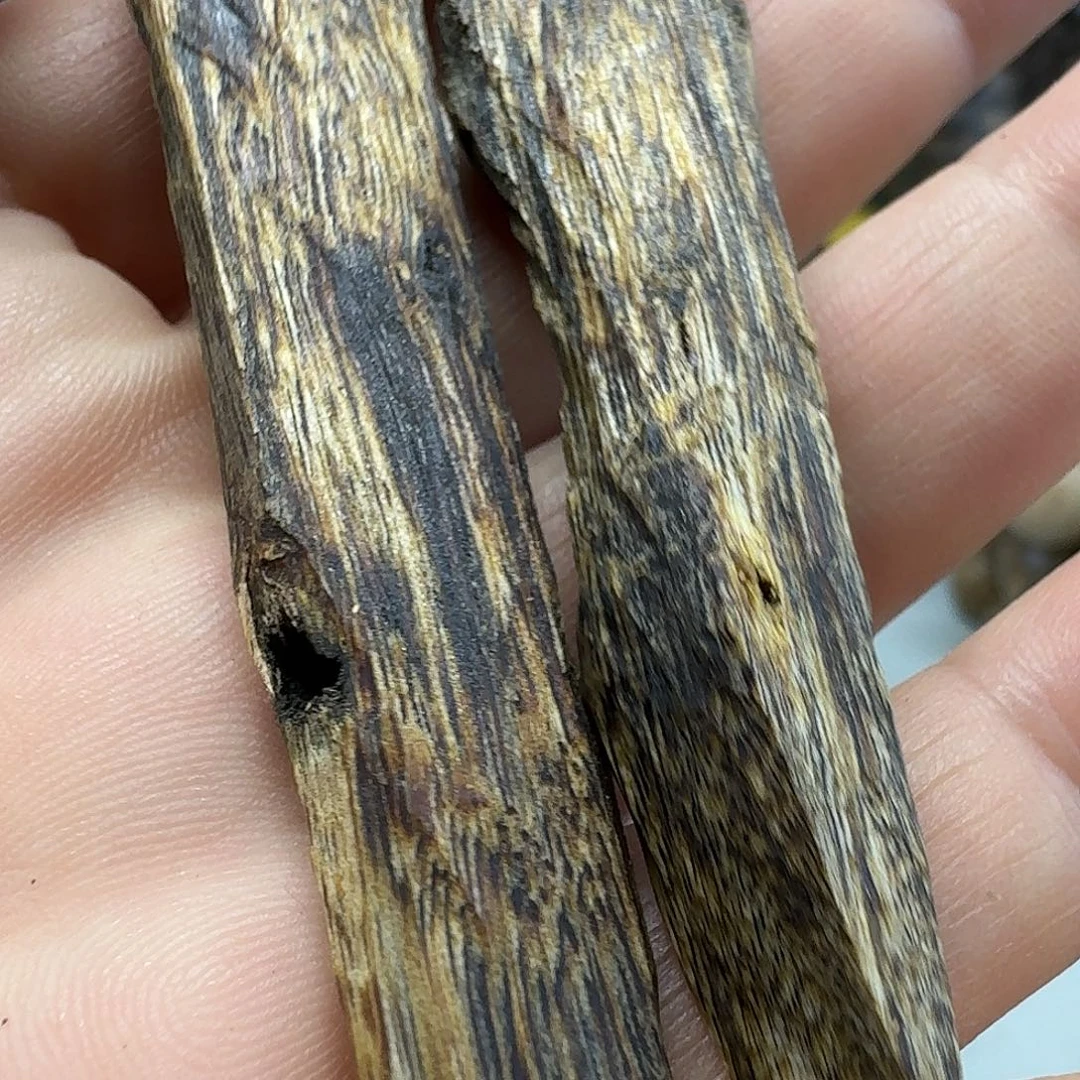 沉香原才料保10克