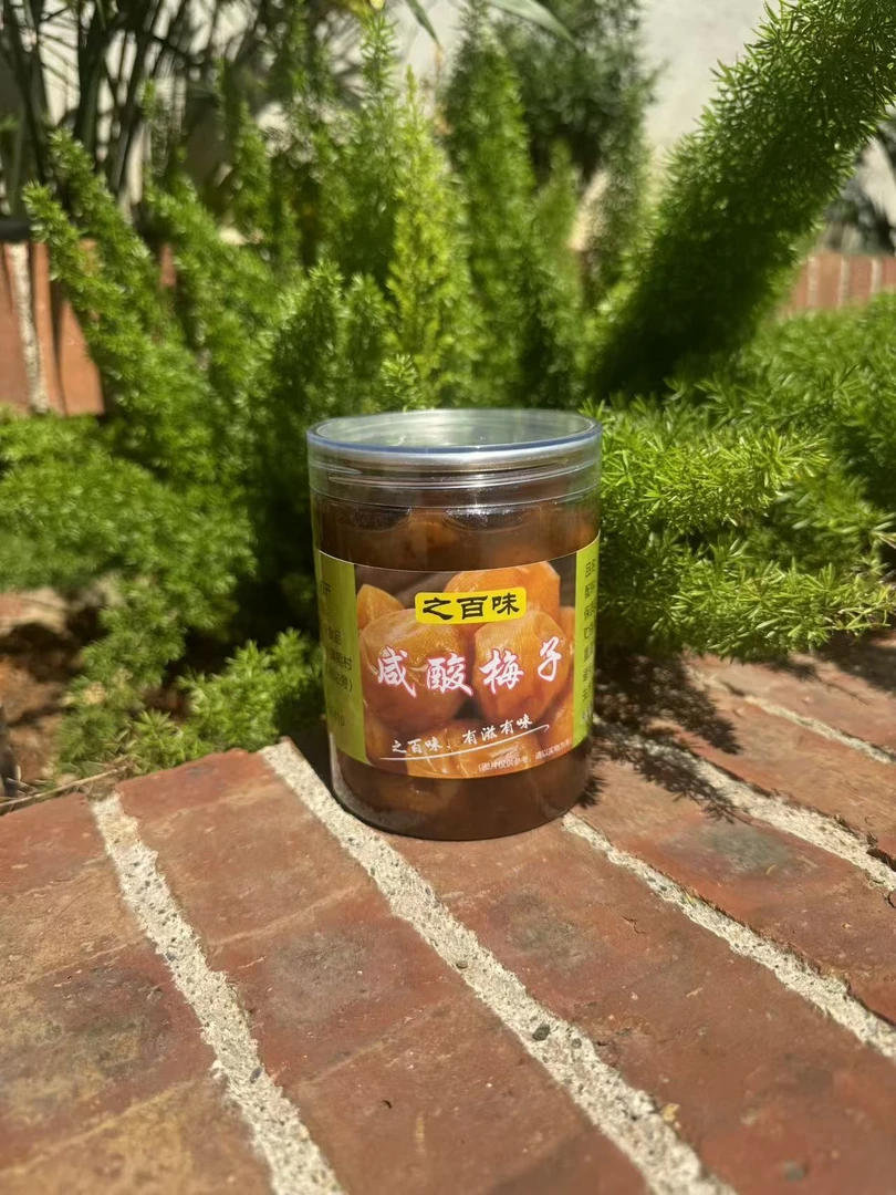 广西横县之百味咸酸梅