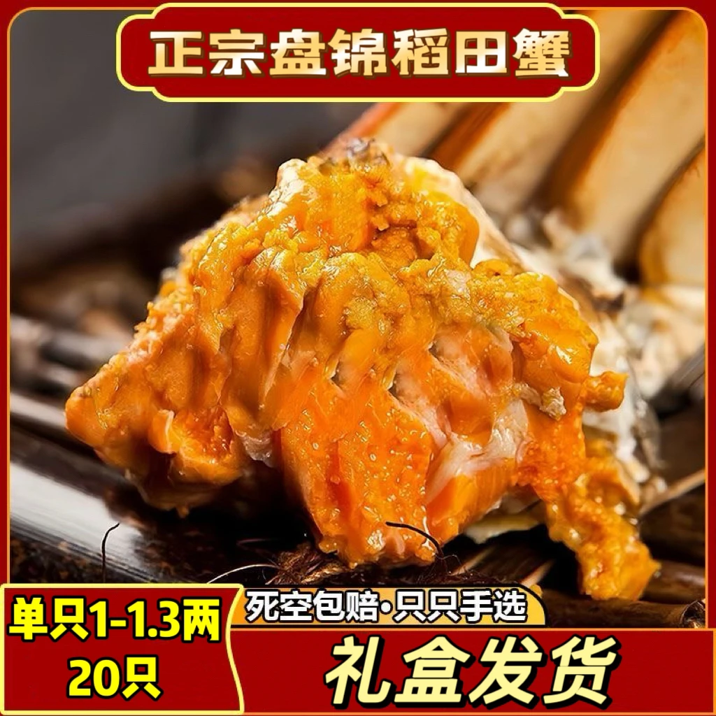 【活蟹】盘锦稻田蟹礼盒1-1.3两母蟹/20只（2-2.4斤左右）