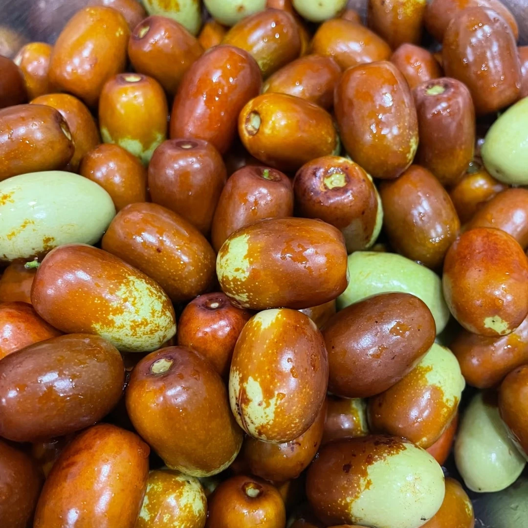 【现货速发】新鲜鸡心枣新鲜采摘果肉饱满生吃脆甜蒸吃软糯特产水果