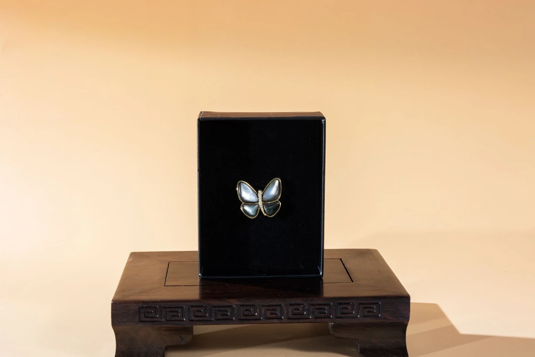 铁贝壳胸针 渐变彩天然贝蝴蝶胸针女款高档气质百搭胸针节日送礼