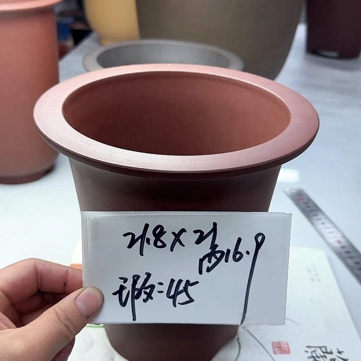 紫砂22222222222222222