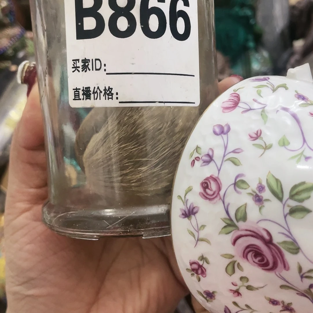 干干净净咯来咯摸摸呃