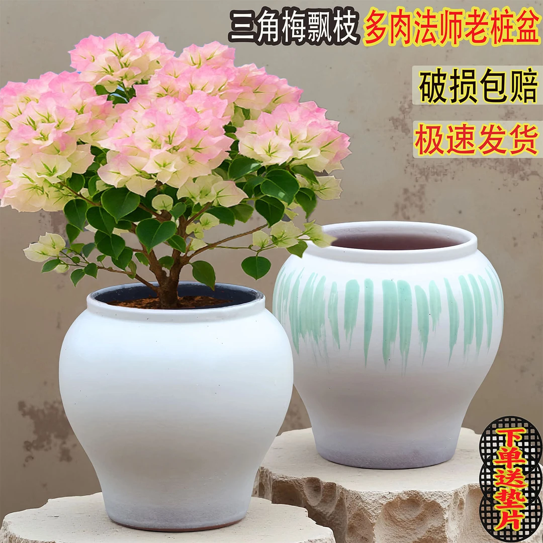 三角梅盆家用复古陶瓷大口径透气粗陶多肉法师老庄高花盆龟背竹盆