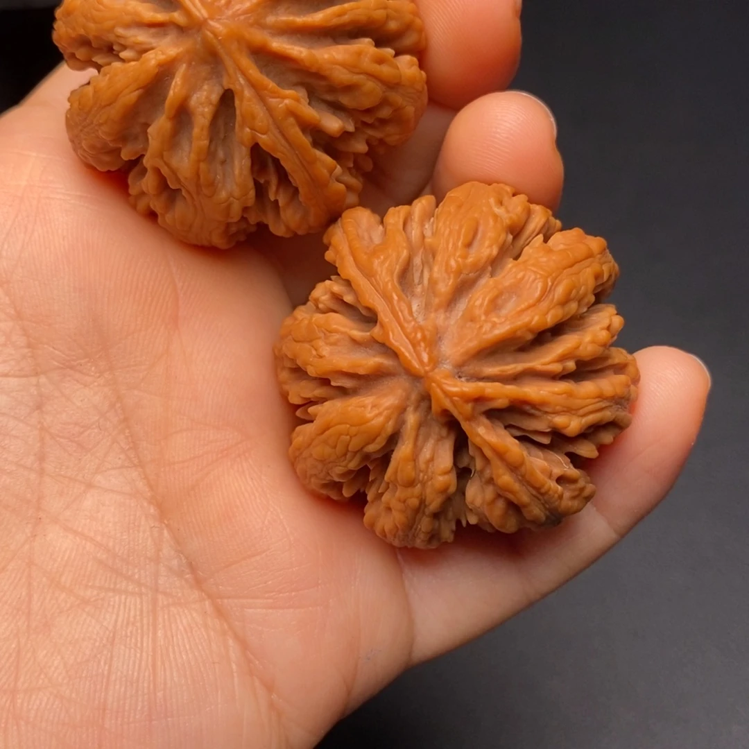 秦岭野生文玩核桃