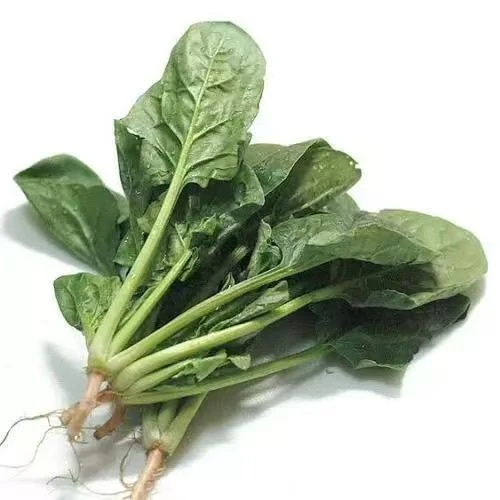 小菠菜500g
