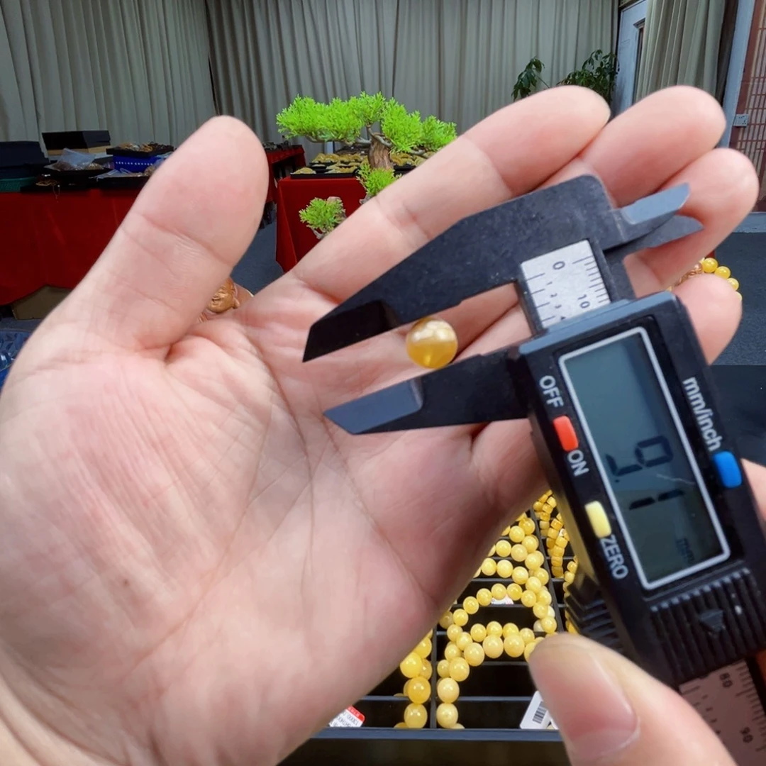 裸石琥珀未镶嵌琥珀