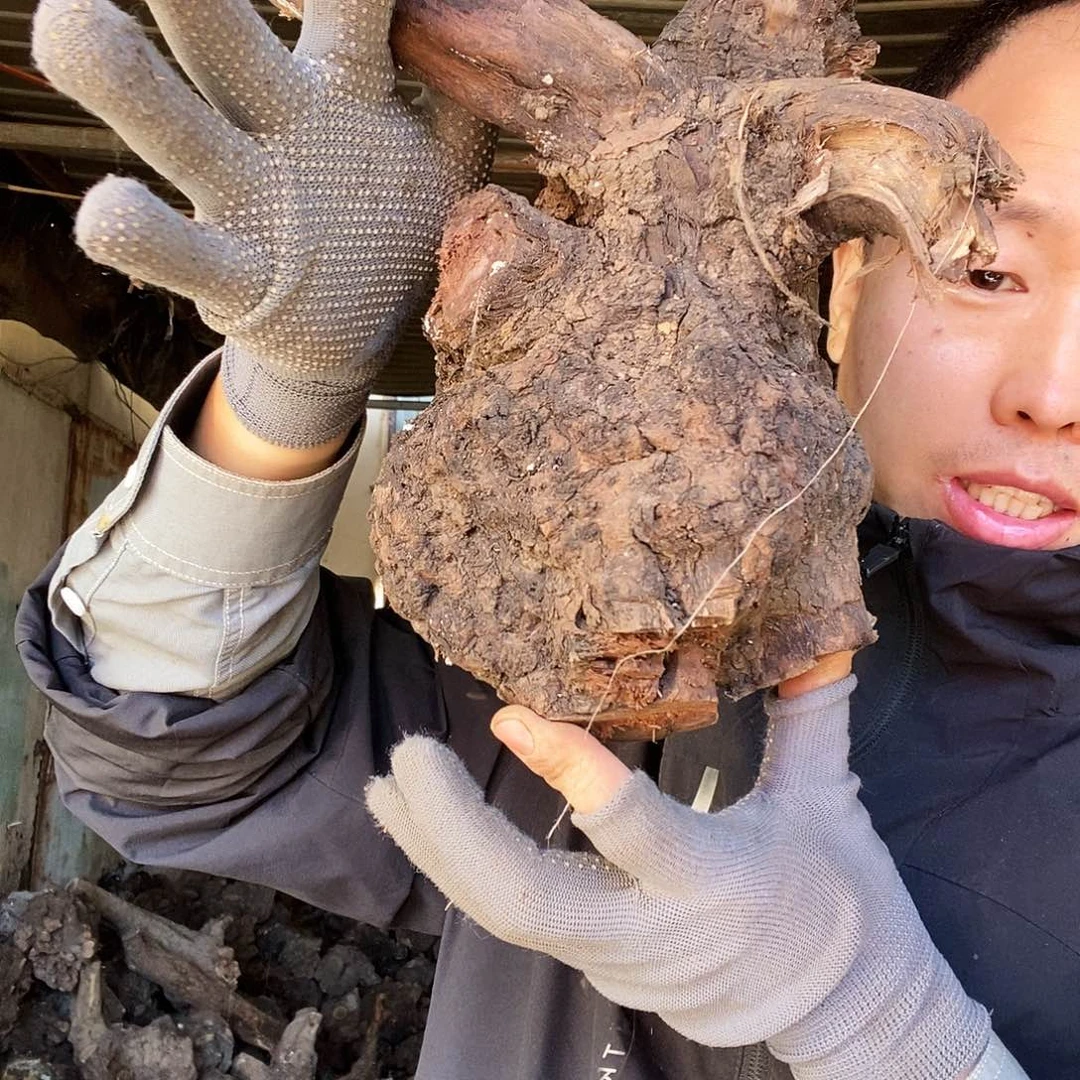 阿***艺无花朵00000000189