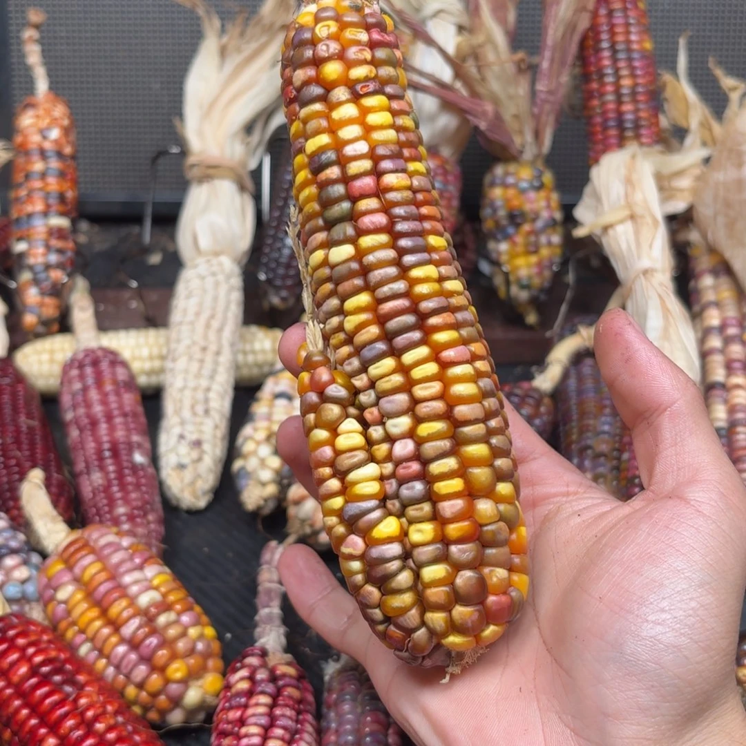 涩***空吊坠柏香籽/百香籽