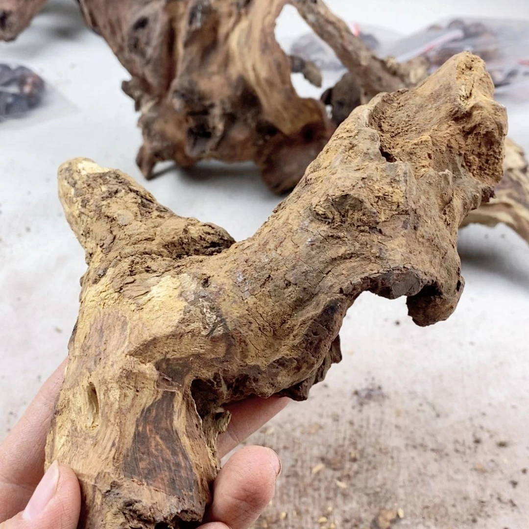 黄花梨/降香黄檀武****春