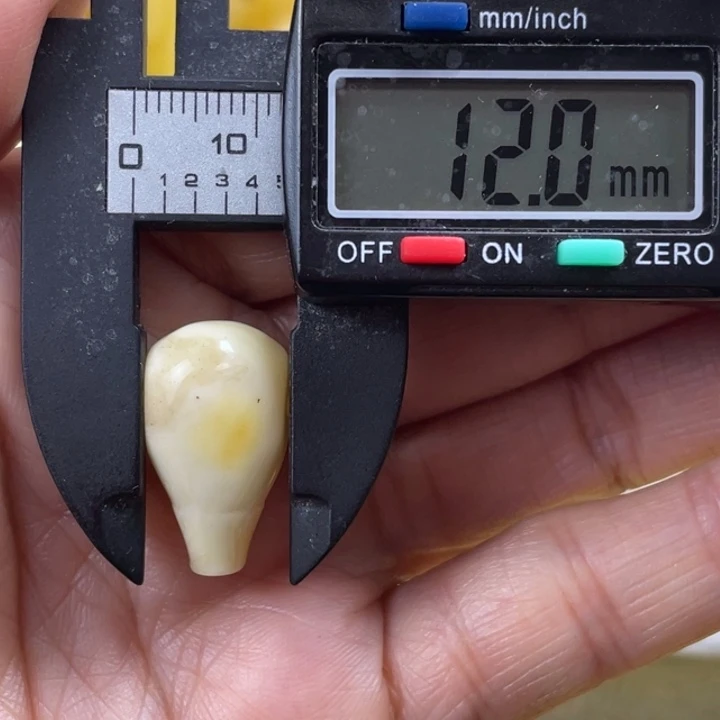 蜜蜡未镶嵌裸石38杂