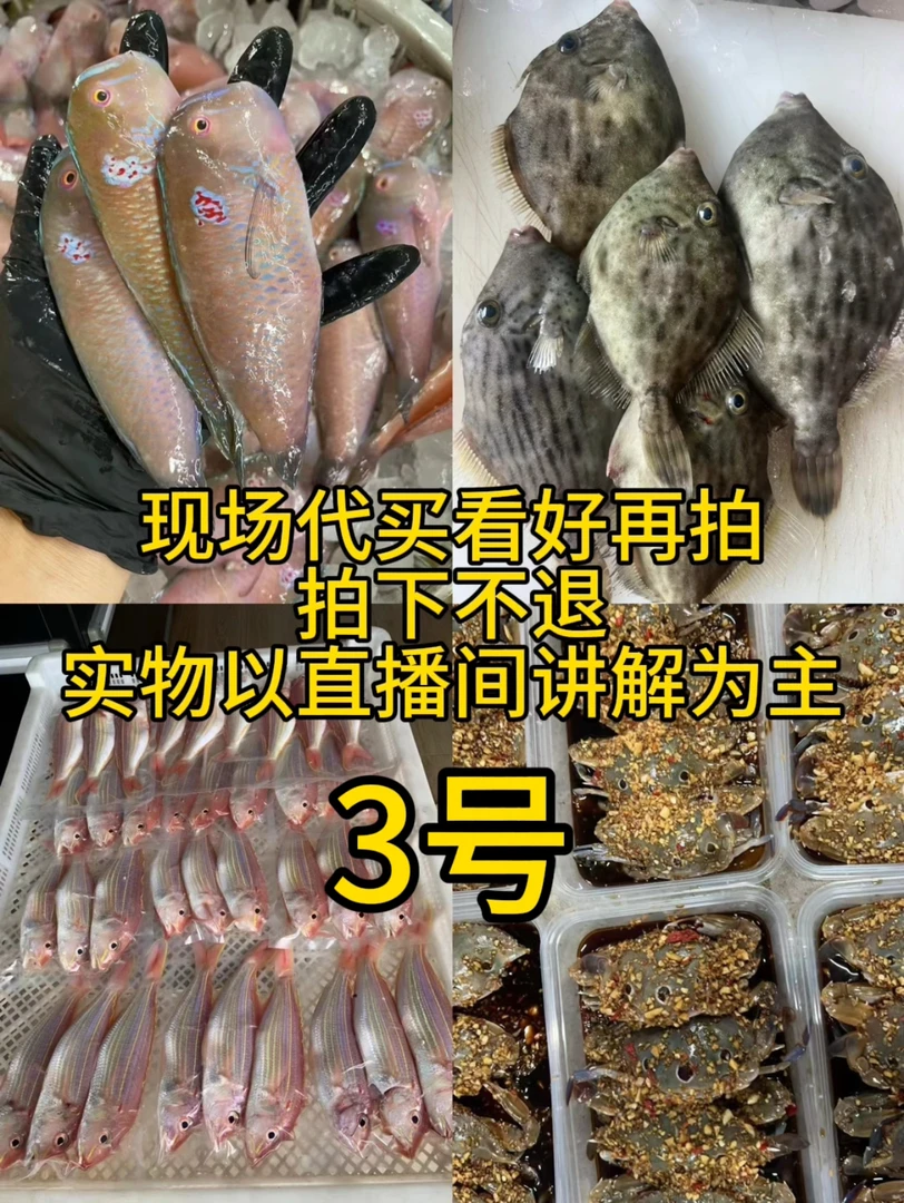 【神武】甲子港码头鲜鱼直播代买新鲜海捕（现拍现称 速冻锁鲜发货）