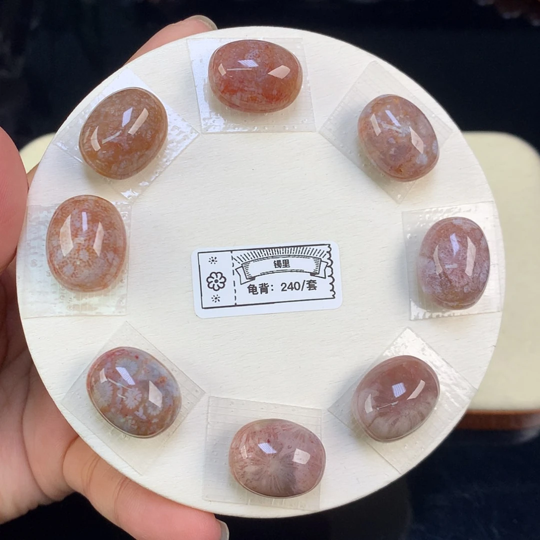 【闪购商品】颈饰未镶嵌硅化珊瑚（珊瑚玉）11号上新龟背