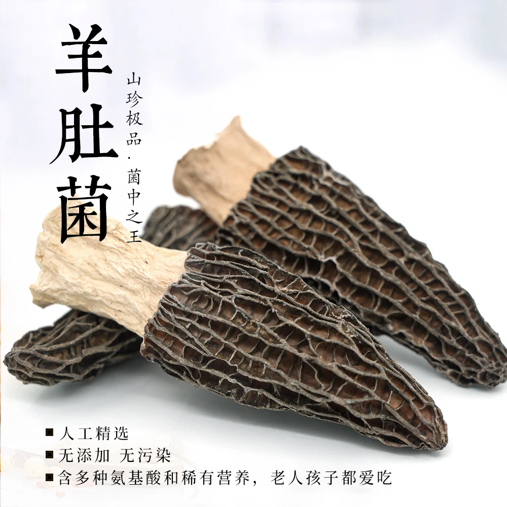 云南羊肚菌干货精选肉厚饱满煲汤鲜美土特产