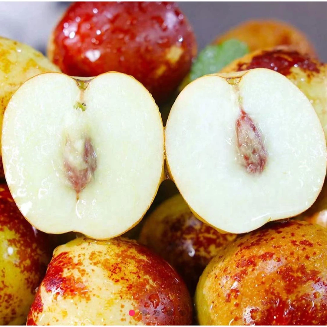 （京东/顺丰）陕西大荔冰糖冬枣现摘现发脆甜可口新鲜水果