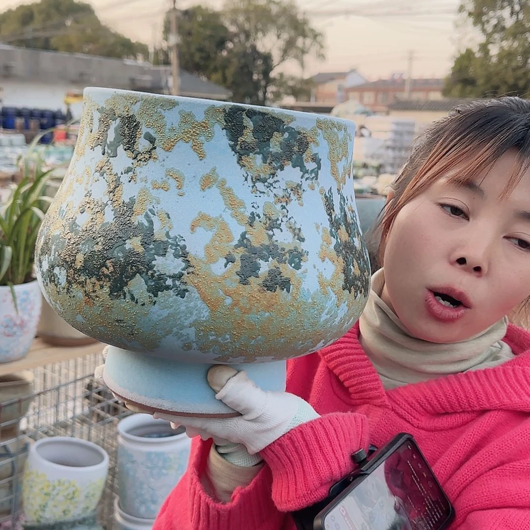 王嫂花盆1208-174高25口22