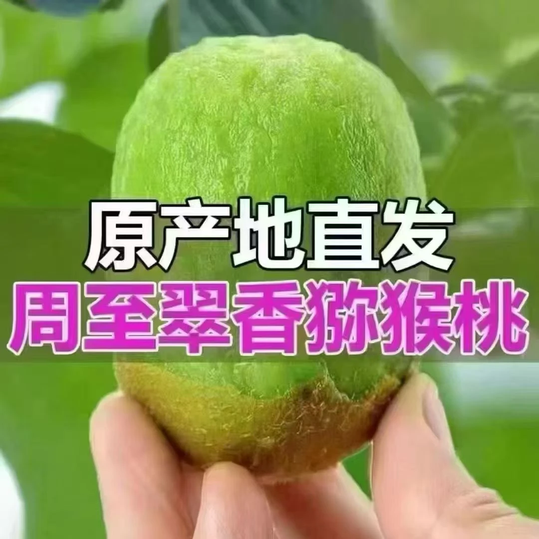 【特惠】陕西绿心奇异果翠香猕猴桃5斤装头茬鲜果，现摘现发纯甜多汁