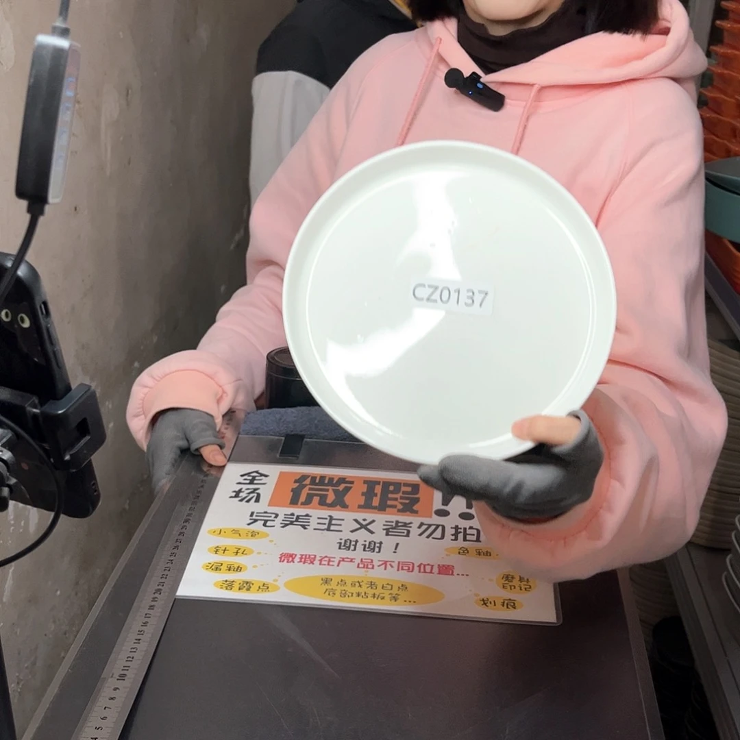 瓷片0137。           2个