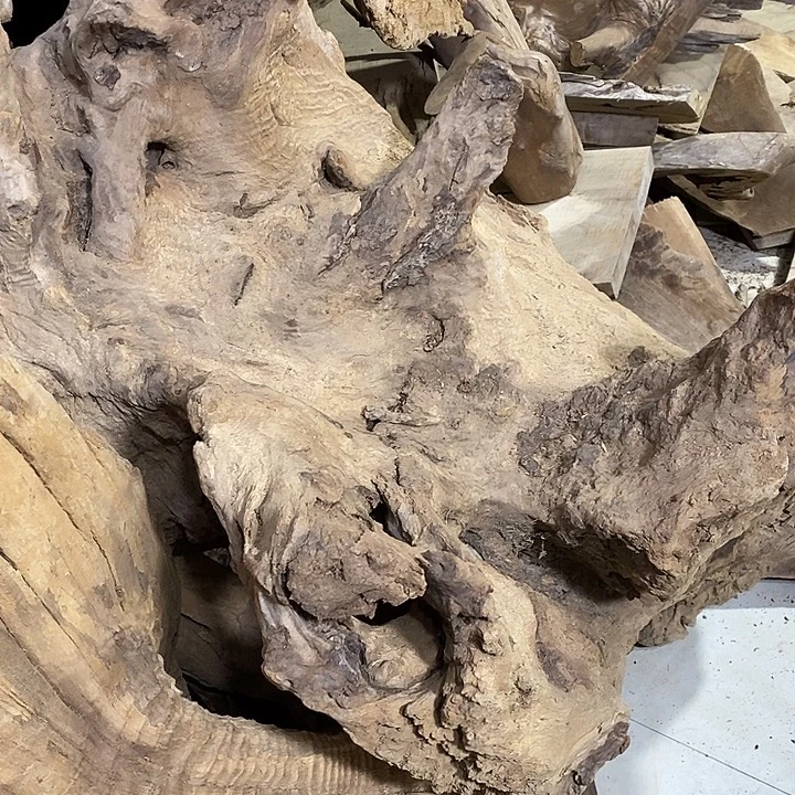 金丝楠木小叶桢楠木