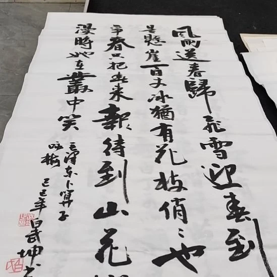 翰墨白武坤老师作品一副
