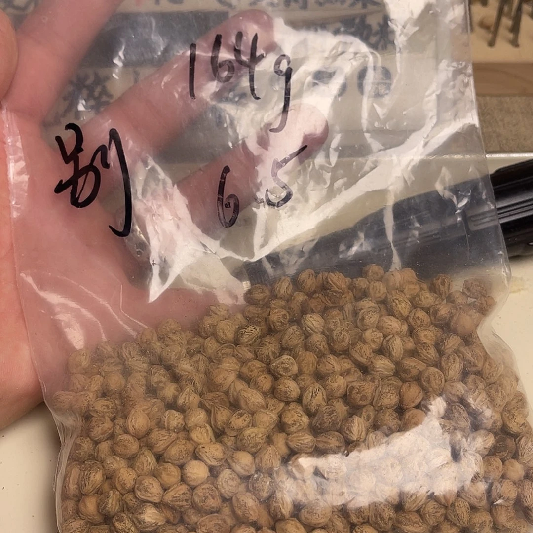 别***我吊坠柏香籽/百香籽