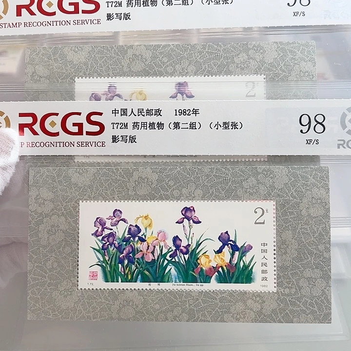 T72M小型张评级98邮票