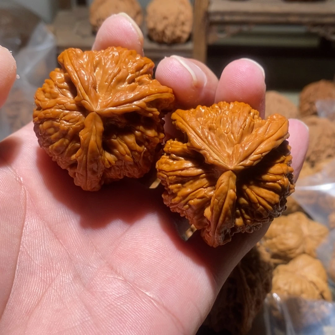 文玩核桃把件白狮子