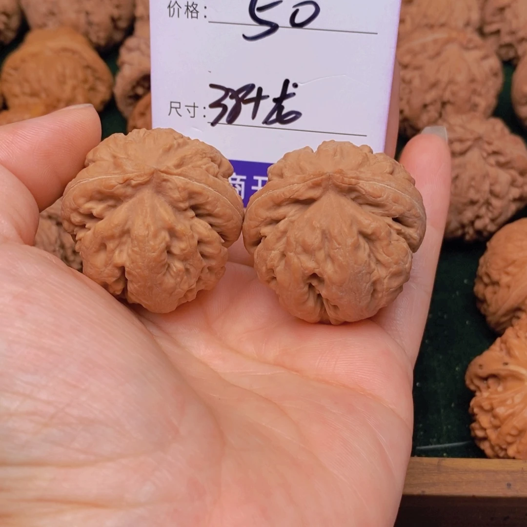 s***r文玩核桃霸王龙核桃