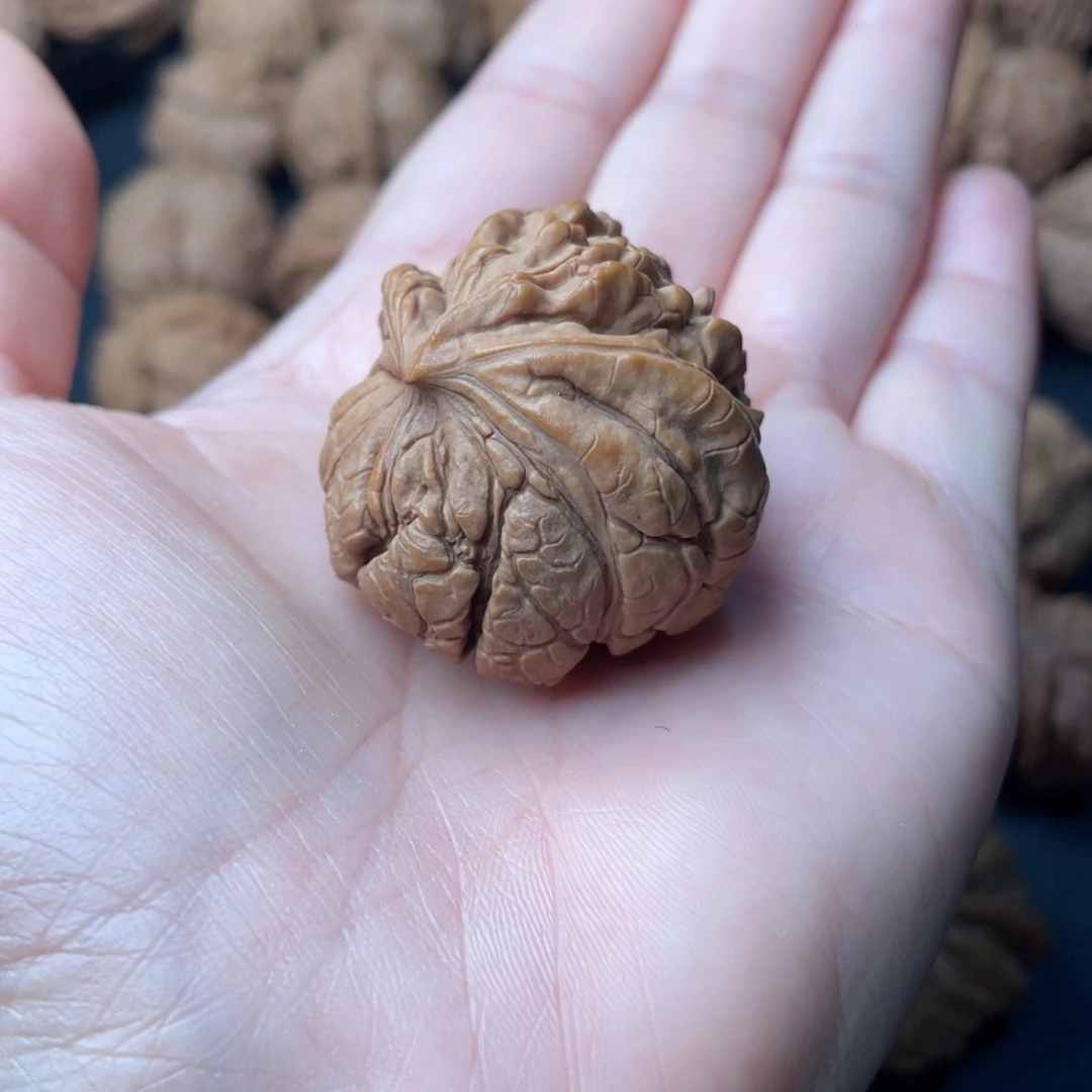 文玩核桃把件38官帽蛇头