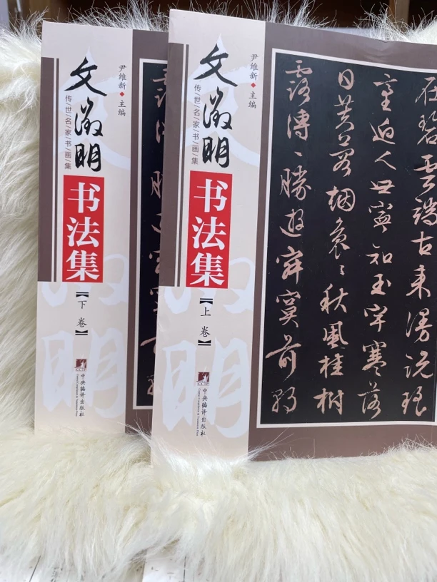 文征明书法集上下卷