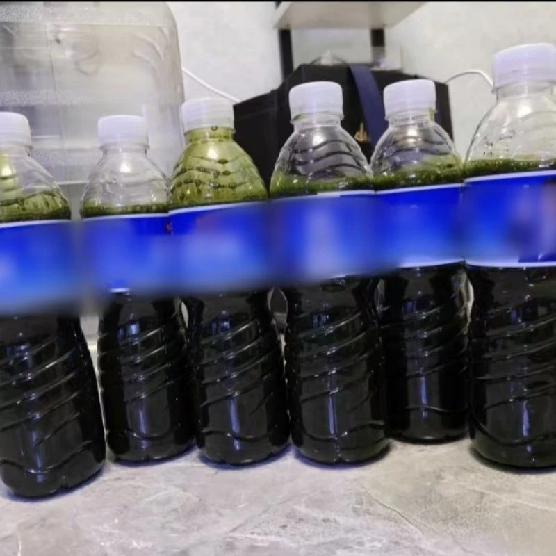 海水小球藻轮虫珊瑚粮鱼粮颗粒珊瑚繁殖活体口粮可扩培