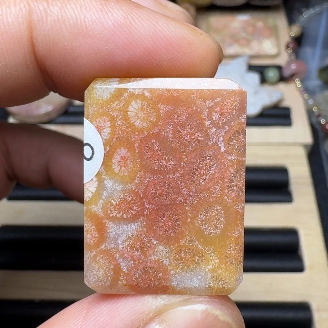 未镶嵌纯天然色有机玉石保真色硅化玉