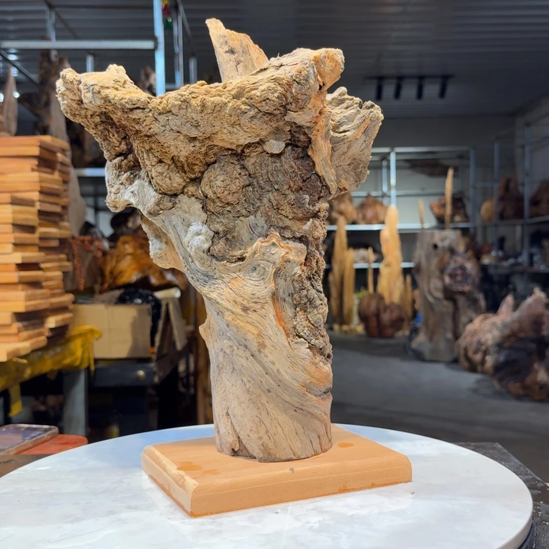 木杜*王一刀琥珀木75