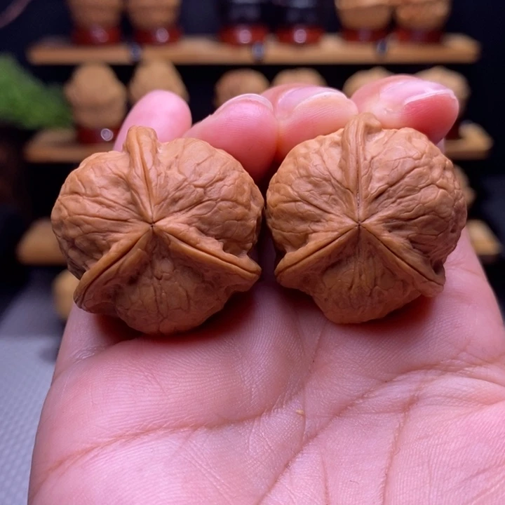 木质类云铁甲壳虫三棱28号