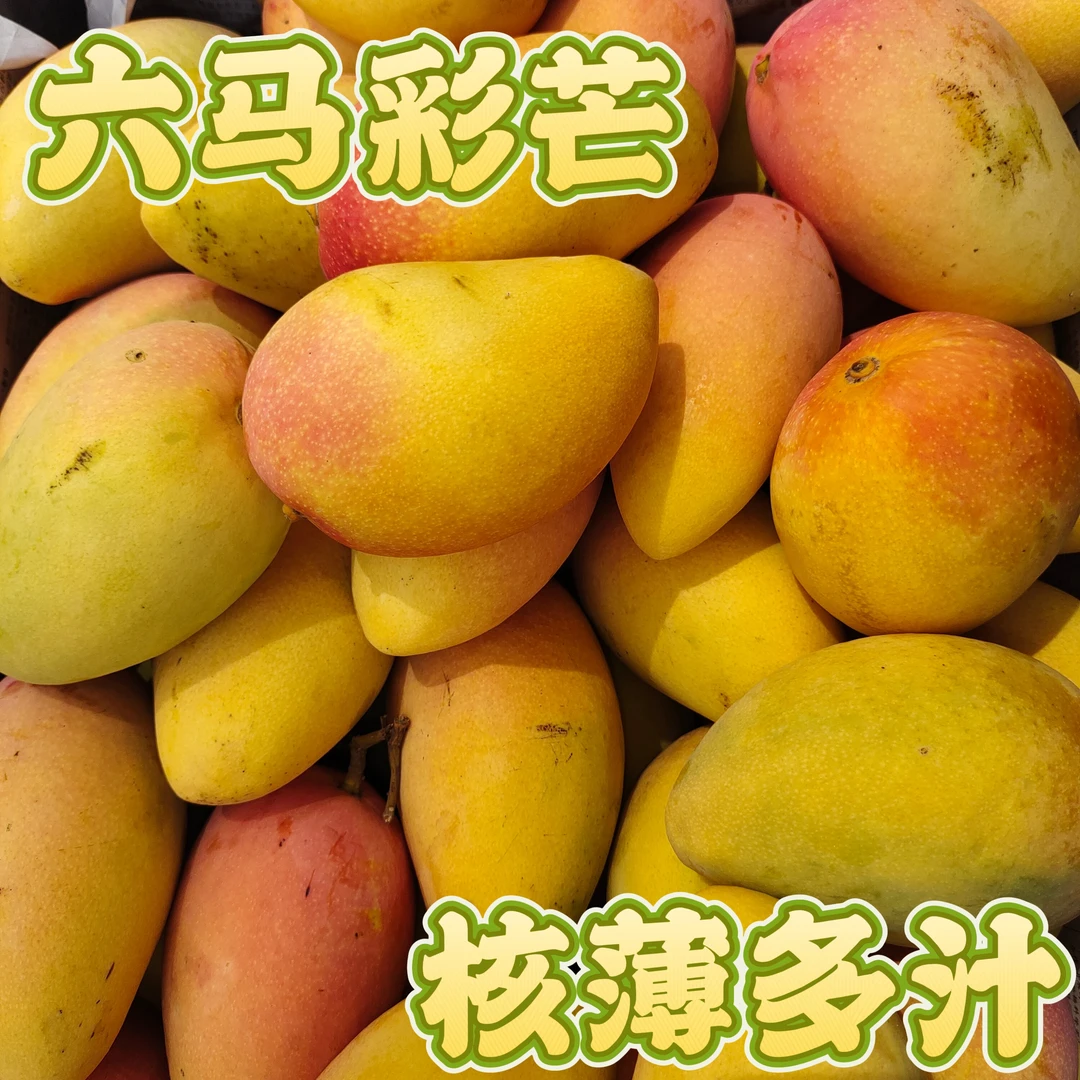 六马小台农大台鸡蛋芒应季水果新鲜现摘芒果