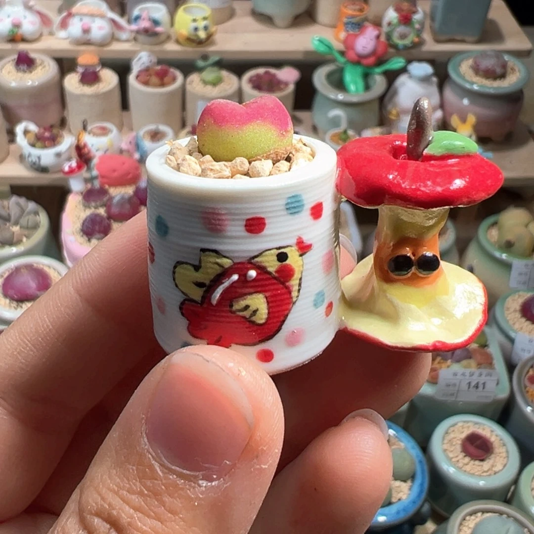 C*?多肉植物214号拇指盆